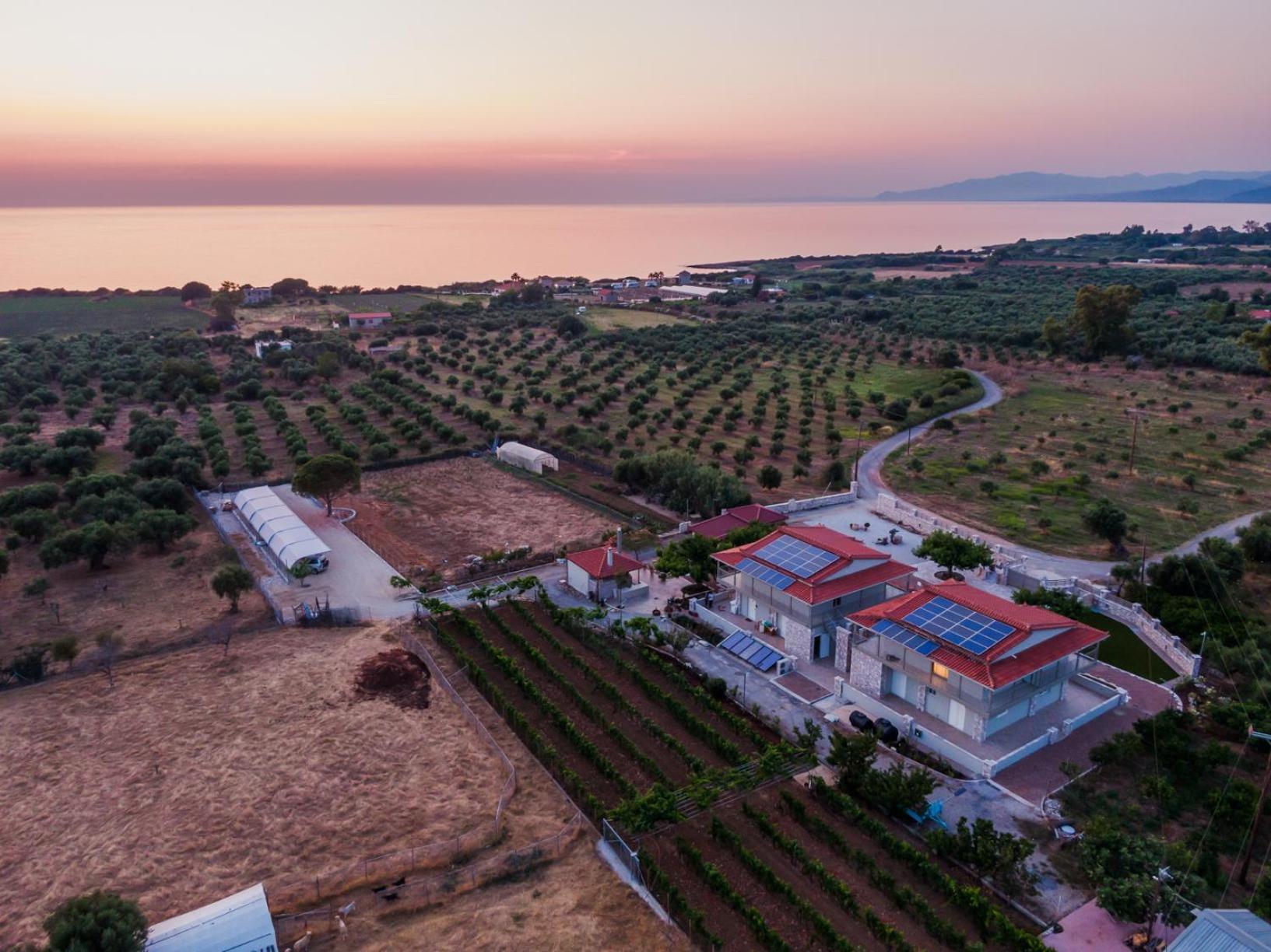 Terra Helios Suites & Studios Kyparissia Exterior foto